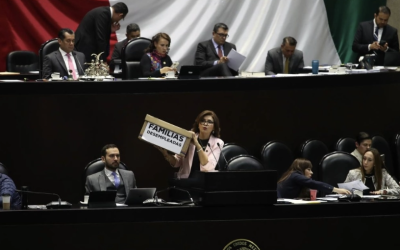 AVALAN DIPUTADOS DESAPARICIÓN DE ORGANISMOS AUTÓNOMOS